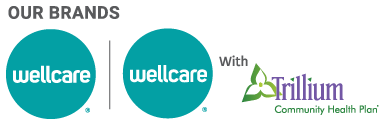 go to Wellcare homepage